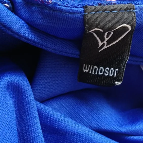 Windsor Blue and Pink Sequin Backless Dress - Picture 8 of 10